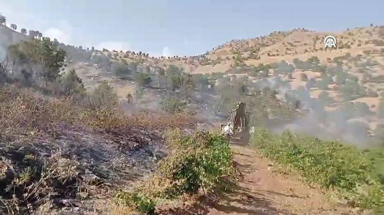 Bingöl'deki orman yangını söndürüldü - Resim: 4